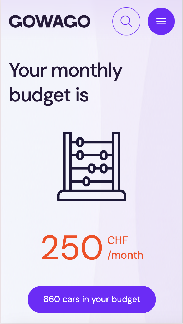 Example monthly budget result